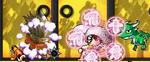 Maple0006.jpg
