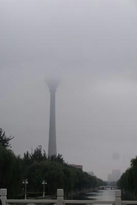 walkinwalkin-0821.jpg
