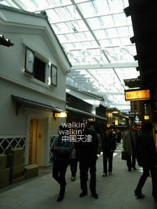 walkinwalkin-TIAT4.jpg