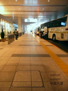 walkinwalkin-TIATbusstop.jpg