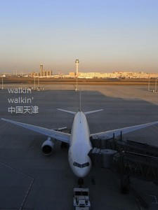 walkinwalkin-TIAT14.jpg