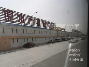 walkinwalkin-wangdingdi1.jpg