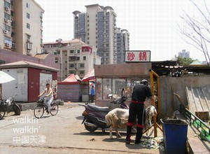 walkinwalkin-xibeijiao2.jpg