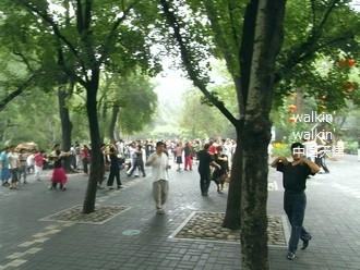 walkinwalkin-zizhuyuan18.jpg