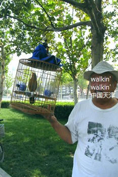 walkinwalkin-huamei3.jpg