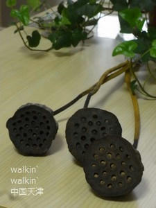 walkinwalkin-DRYlianpeng1.jpg