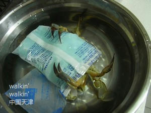 walkinwalkin-2011haixie2.jpg