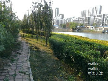 walkinwalkin-chentangzhuang7.jpg