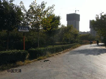 walkinwalkin-chentangzhuang9.jpg