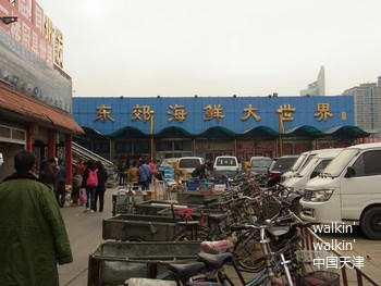 walkinwalkin-dongjiao11.jpg