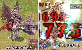 8341c541.jpeg