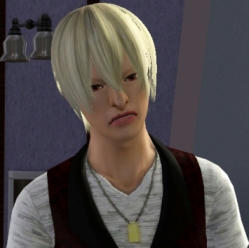 ヴァンパイアになりたい3 Sims3 ぱり日記