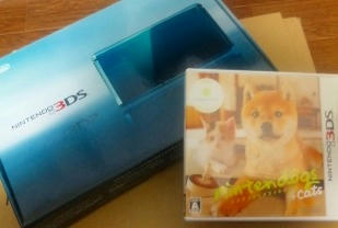3DS.jpg