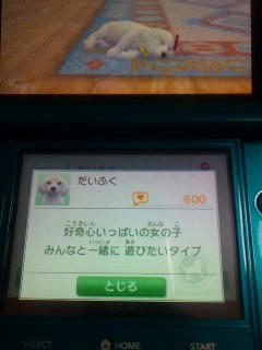 3DSnintendogs.jpg
