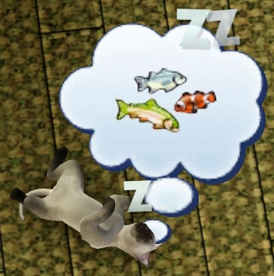ss9.JPG