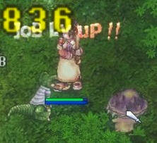 アリゲーターがうまい! f8e0ec5d.jpeg