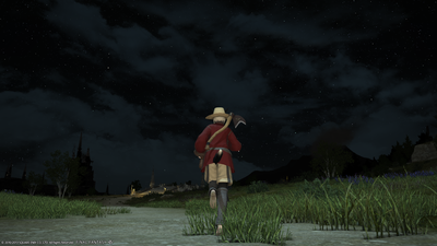 夜がリアルに暗くて見えない分、星が綺麗