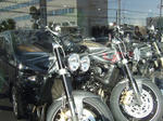 2008_12280006.JPG