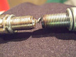 2010_03300006.JPG