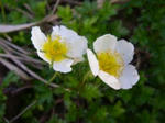 20090625095718.jpg