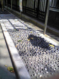 Image058.jpg