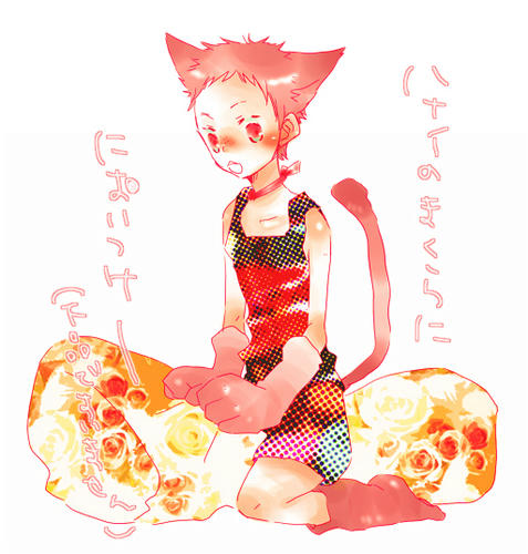 nyan6.jpg