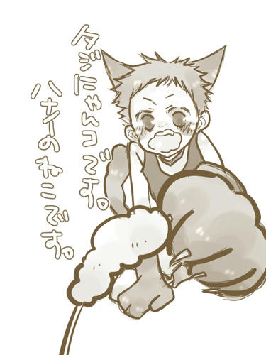 c8fa36bf.jpg