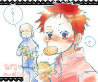 harvest-s3.jpg