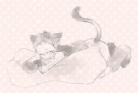nya-s.jpg