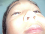 009_800.jpg