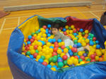 008_800.jpg