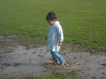 CIMG1145_1024.jpg