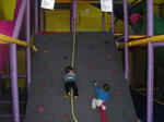 CIMG1271_1024.jpg