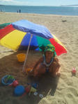 IMG_20120408_113139.jpg