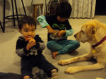 DSC09897_1280.jpg