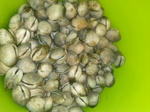 CAM00490.jpg