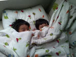 CAM00766.jpg