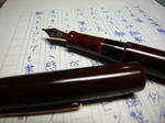 nakaya.JPG