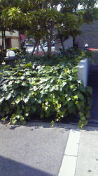 201006010857000.jpg