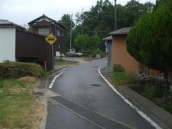 DSCF1332.jpg