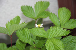 IMG_00050626.jpg