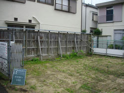 IMGP09790619.jpg