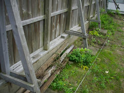 IMGP09800619.jpg