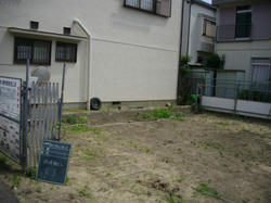 IMGP09880619.jpg