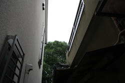 IMG_01160709.jpg