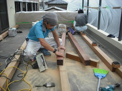 DSCF00320708.jpg