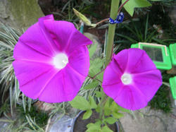 DSCF1804.JPG