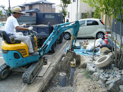 DSCF1811.jpg