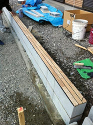 20110125.JPG