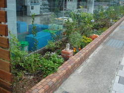 DSC02375.jpg